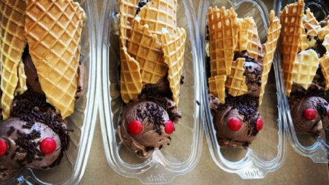 Um, Cicada Sundaes Are Currently The Hot New Food Trend And I’m Absolutely Terrified