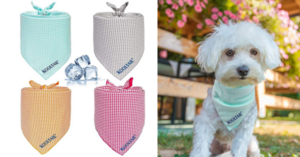 You Can Get A Cooling Bandana To Keep Your Dog Cool and Comfortable This Summer
