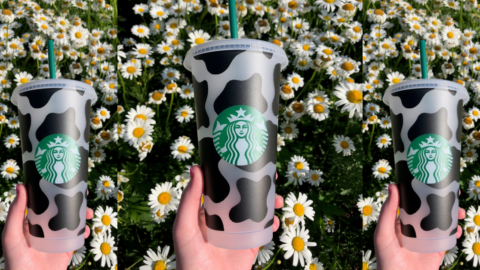 Everyone Is Obsessed With Cow Print Right Now So You Need This Cow Print Starbucks Cup