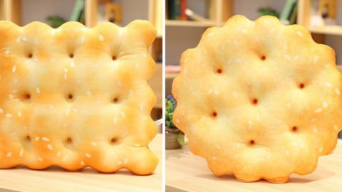 You Can Get A Giant Cracker Shaped Pillow And I Need All Of Them
