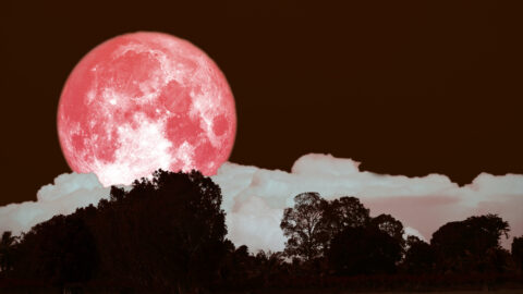 You’ll Be Able To See The Strawberry Supermoon On Thursday. Here’s How To See It.