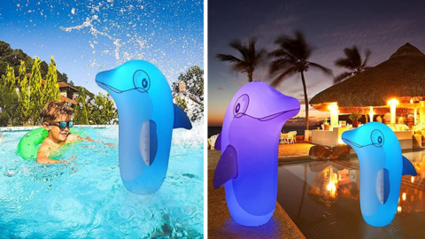 You Can Get An Inflatable Color Changing Dolphin That Looks Like It’s Dancing In Your Pool