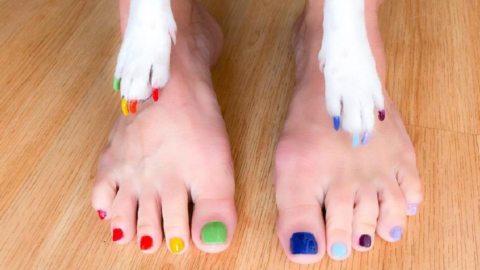 People Are Getting Matching Pedicures With Their Dogs, Because Why Not?
