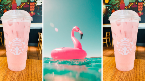 You Can Get A Pink Flamingo Refresher From Starbucks To Start Your Summer Out Right