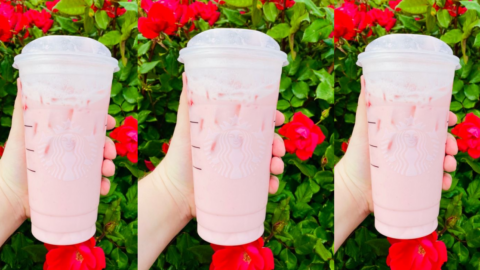 You Can Get A Raspberry Rose Hibiscus Tea From Starbucks To Make You Feel Fancy