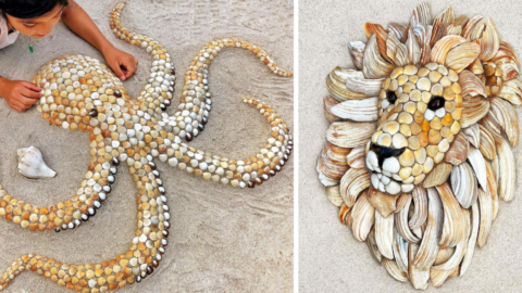 This Woman Uses Seashells To Create Portraits Of Animals And They Are Beautiful