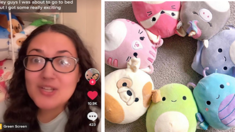 A New Squishmallow Release Has Been Leaked So Now You Can See These Cuties Ahead Of Time