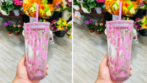 Starbucks Just Released A Pretty And Pink Cheetah Print Tumbler That Is Absolutely Fierce