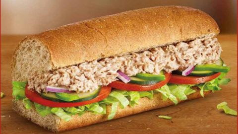 This New Study Says Subway’s Tuna Does Not Contain Any Real Tuna At All