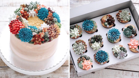 Succulent Cakes Are The New Hot Food Trend And I Want One For Myself