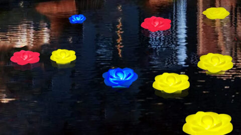 These Floating Rose Pool Lights Are Perfect For Lighting Up The Night