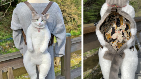 You Can Get A Backpack That Looks Just Like A Real Cat And It Kind Of Creeps Me Out