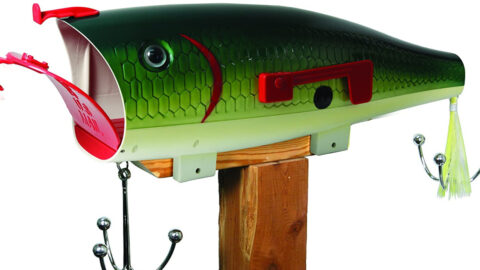 You Can Get A Mailbox That Looks Like A Big Fish For The Person Who Enjoys Fishing
