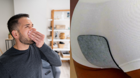 You Can Get Activated Charcoal Underwear Liners That Will Take Out The Stink When You Fart