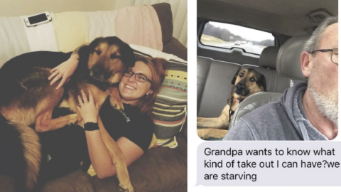 This Dad Sent The Most Hilarious Text Messages To His Daughter While He Was Watching Her Dog
