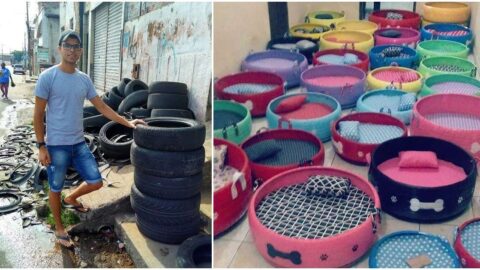 This Man Turned Old Tires Into Colorful Beds For Stray Animals and Our Hearts Are Full