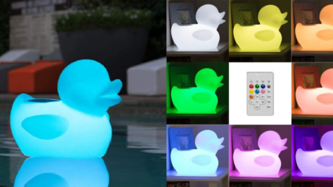 You Can Get A Light Up Floating Duck Speaker For Your Pool And I Need One Now
