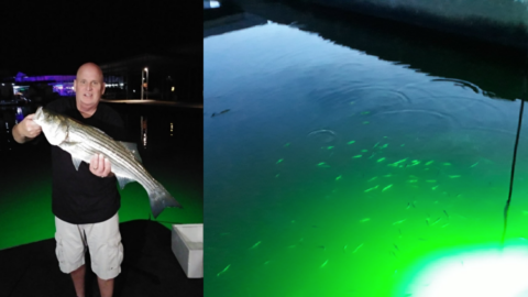 This Green Light Goes In The Water To Lure In Fish and It’s Perfect For The Person Who Likes To Night Fish