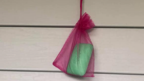 Here’s The Secret To Keeping Flies Away All Summer Long