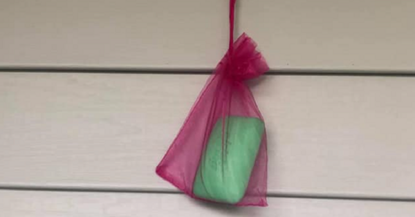 Here’s The Secret To Keeping Flies Away All Summer Long