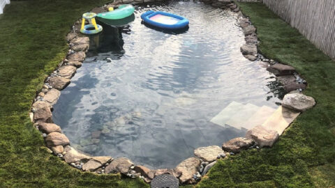 People Are Making Natural Swimming Holes By Replacing Their Pools With Ponds and I Love It