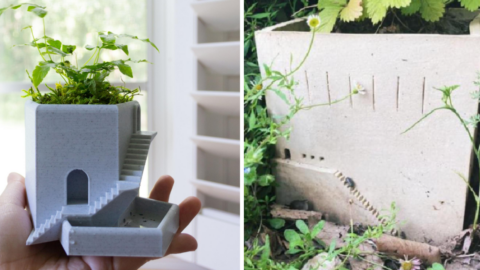 These Planters Have Stairs On The Side So Insects Can Crawl Up And Down Them and They Are Genius