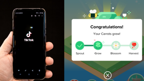 TikTok Just Released A New In-App Game and It Is Addicting