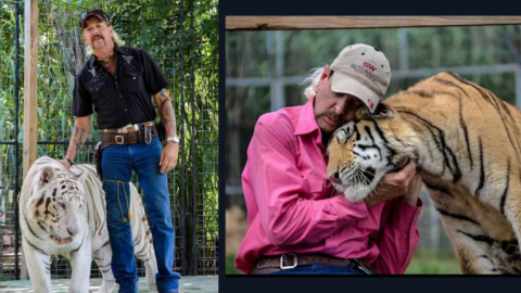 Joe Exotic Is Searching For A New Partner With His ‘The Bachelor King’ Contest So Grab Your Popcorn