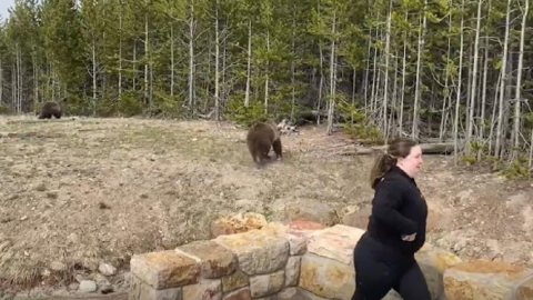 This Woman Is Lucky To Be Alive After A Mama Bear Charged At Her While She Was Taking A Picture