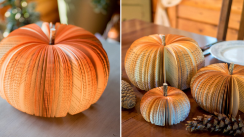 ‘Book Pumpkins’ Are The Hottest New Trend For Fall And I Love Them