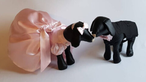 You Can Get A Bridesmaid Dress For Your Dog, Because Who Doesn’t Want Their Best Friend To Stand Beside Them?