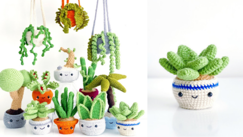 These Crochet Succulents Are Perfect For The Person Who Kills All Their Plants