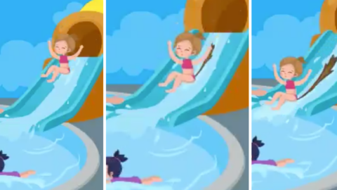 People Are Losing Their Minds Over This CDC Graphic That Warns People Not To Swim With Diarrhea