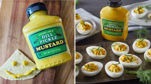 Trader Joe’s Is Selling A $2 Bottle of Dill Pickle Mustard And I’m On My Way