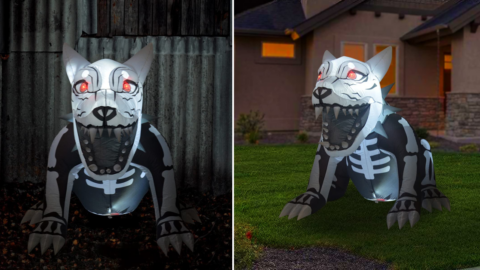 You Can Get An Inflatable Skeleton Dog For Your Yard Just In Time For Halloween