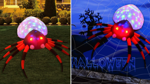 This Giant Inflatable Spider Lights Up To Give Your Neighbors A Scare This Halloween