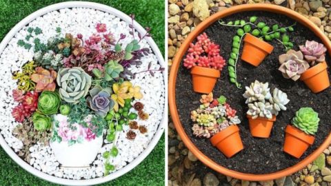 People Are Creating Potted Plants Inside Of Potted Plants And I Am Obsessed