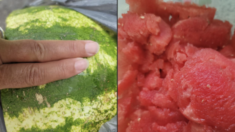 This Farmer Shares How To Pick The Perfect Watermelon Every Single Time