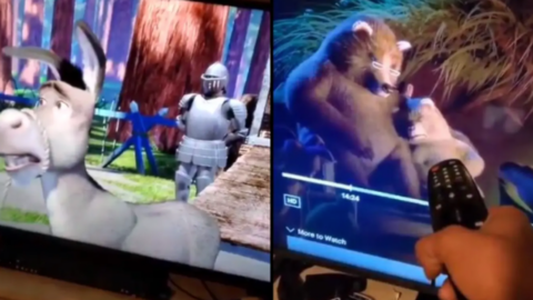 The Internet Is Losing It Over This Unnoticed Scene From ‘Shrek’ and Now I Can’t Unsee It