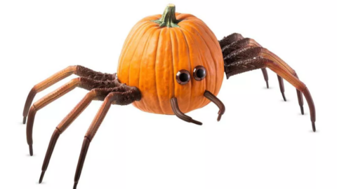 Target Is Selling A Kit That Lets You Turn A Pumpkin Into A Giant Spider