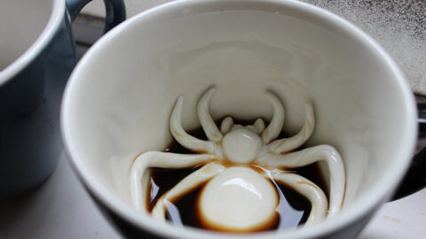 This Coffee Mug Has A Spider Hidden At The Bottom Making It Creepy Cool To Sip In