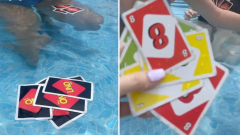 UNO Created Waterproof Playing Cards So You Can Reverse And Draw Two In The Pool