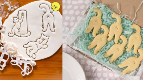 You Can Get A Cat Butt Cookie Cutter, Because Why Not?
