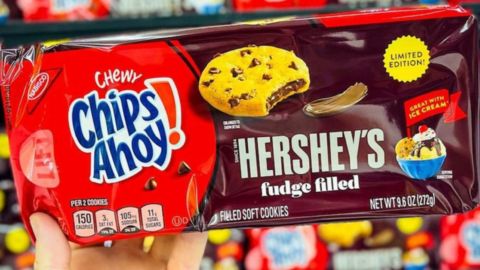 Chips Ahoy!’s New Chewy Cookies Now Come With A Hershey’s Fudge Filled Center