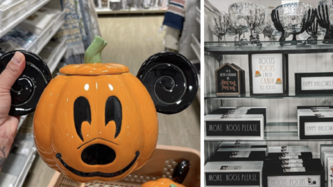 HomeGoods Just Released Their New Halloween Collection And There’s Even A ‘Hocus Pocus’ Section