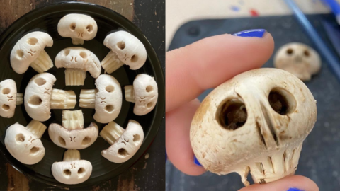 ‘Mushroom Skulls’ Are Here To Make Food Look Scary Good