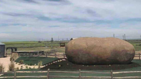 You Can Stay In A Giant 6-Ton Potato And It’s The Perfect Getaway For You and Your Spud Muffin