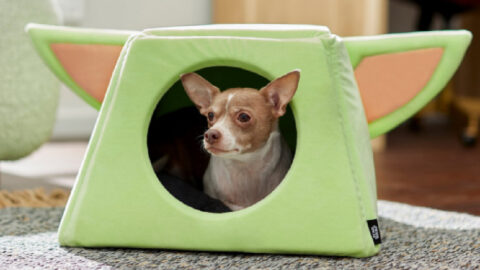 You Can Get A Baby Yoda Shaped Pet Bed For The Cutest Way To Sleep In The Entire Galaxy