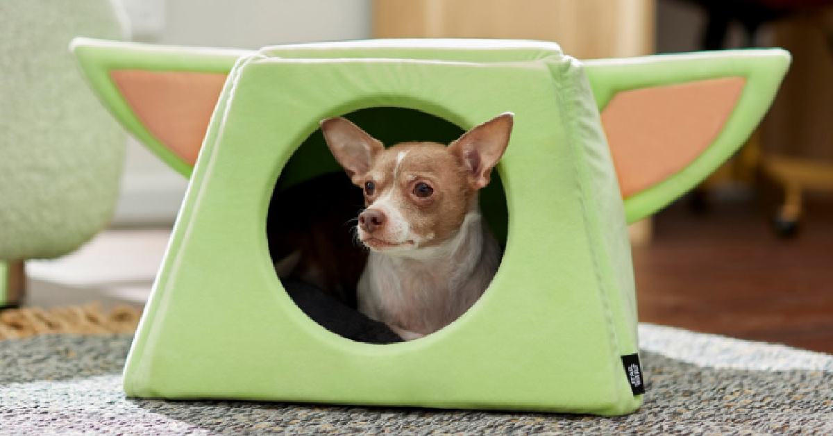 You Can Get A Baby Yoda Shaped Pet Bed For The Cutest Way To Sleep In The Entire Galaxy