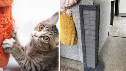 These Corner Cat Scratching Posts Perfectly Protect The Corners Of Your Furniture From Kitty Claws